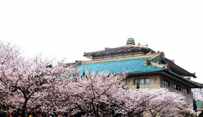 参观黄鹤楼、湖北省博物馆春假爆款武汉名校夏令营开启报名开元棋牌app狮子精品夏令营 探访武汉大学、华中科大(图9)