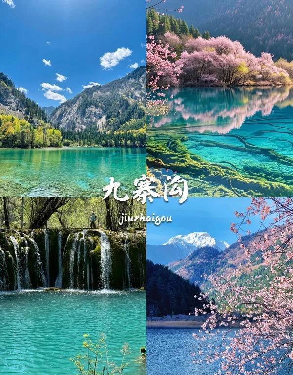 家庭定制的5日行程省心程度超乎想象ky开